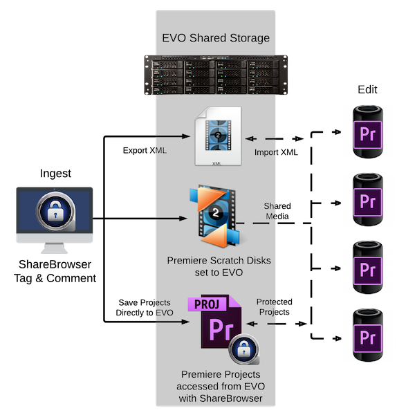 Adobe-Premiere-Workflow-Media Share-Project-Share-NAS