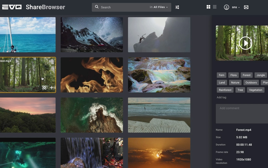 Screenshot of ShareBrowser media asset management and AI auto-tagging for media