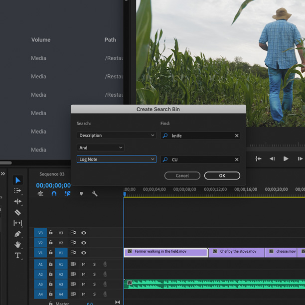 Screenshot showing the field selections for a multi variable search bin in Premiere Pro