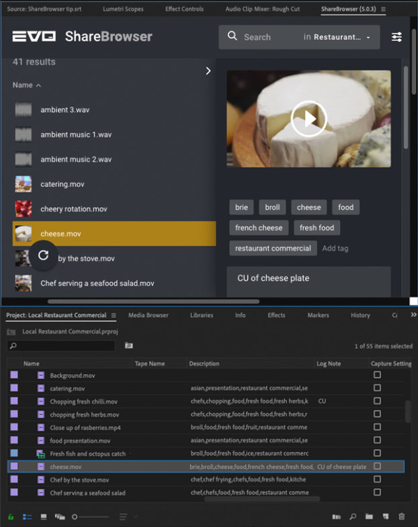 Using the ShareBrowser Panel with Premiere Pro Search Bins