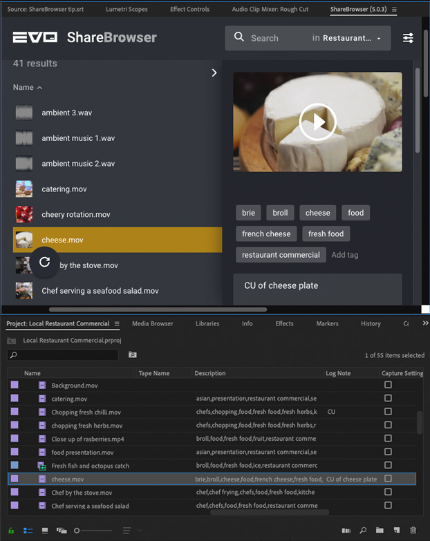 Screenshot showing a side by side comparison of ShareBrowser metadata and Premiere metadata