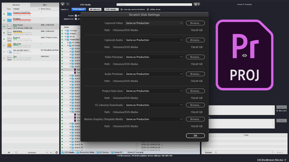 A screenshot showing all projects in Premiere Pro Productions share the settings.