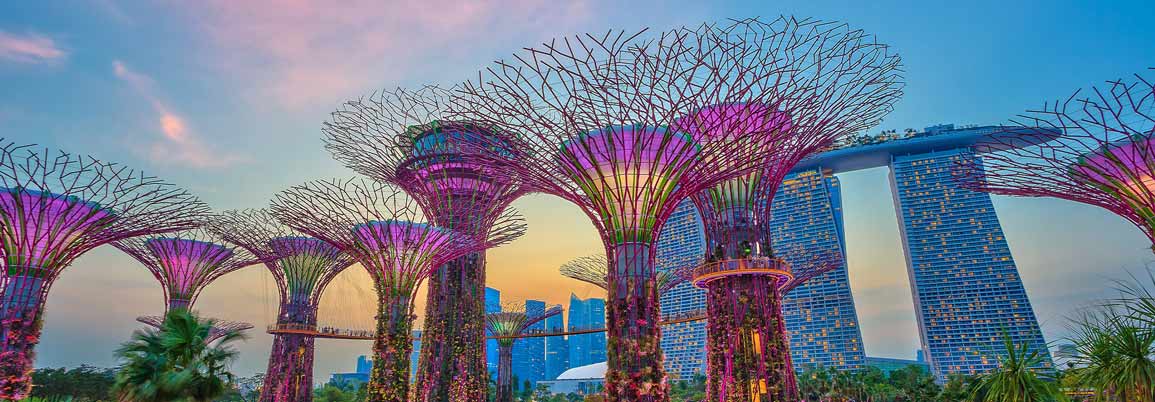 gardens by the bay in singapore