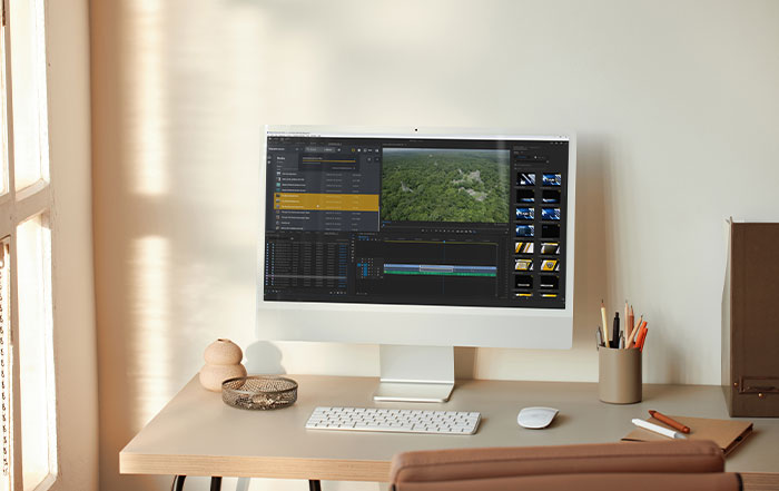 ShareBrowser in NLE on monitor